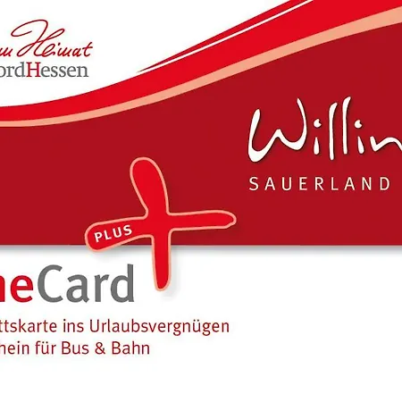 'villa Edelweiss' De Luxe Inkl Wellness-spa Und Meinecardplus Lejlighed Willingen (Upland)