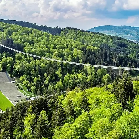 'villa Edelweiss' De Luxe Mit Hotelanbindung, Saunalandschaft Und Meinecardplus Lägenhet *