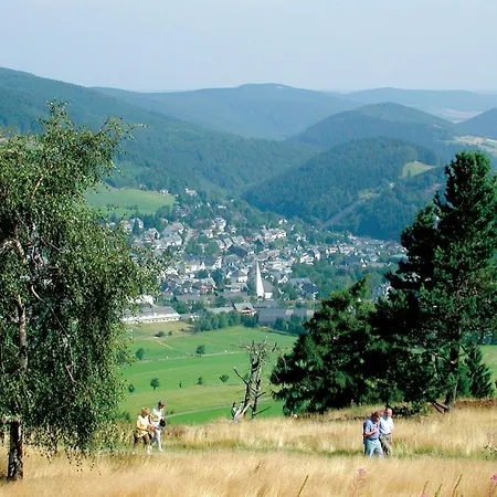 'villa Edelweiss' De Luxe Mit Hotelanbindung, Saunalandschaft Und Meinecardplus Lägenhet Willingen (Upland)