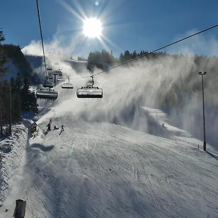 'villa Edelweiss' De Luxe Inkl Wellness-spa Und Meinecardplus Apartmán