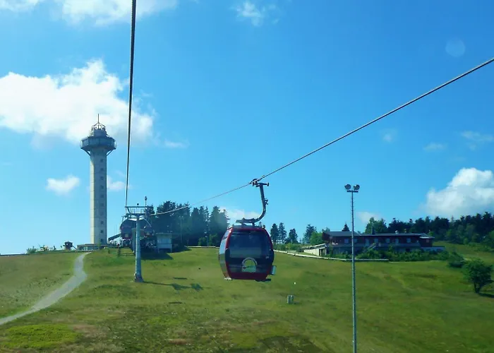Appartement 'villa Edelweiss' De Luxe Inkl Wellness-spa Und Meinecardplus *