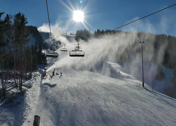 'villa Edelweiss' De Luxe Inkl Wellness-spa Und Meinecardplus Appartement