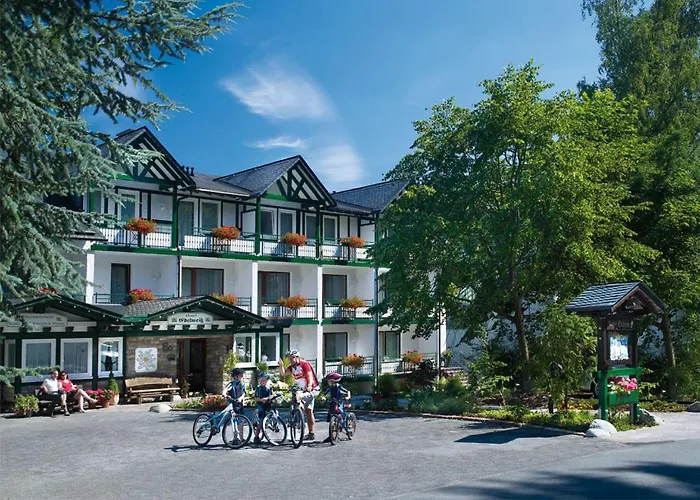 'villa Edelweiss' De Luxe Inkl Wellness-spa Und Meinecardplus Appartement