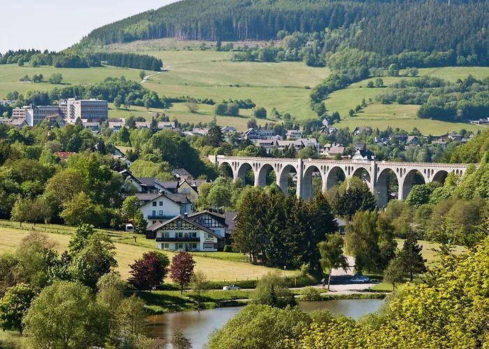 Appartement 'villa Edelweiss' De Luxe Inkl Wellness-spa Und Meinecardplus Willingen (Upland)